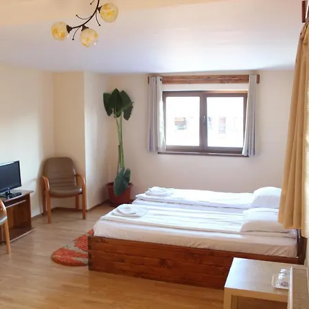 Nagy Guest house Viseu de Sus