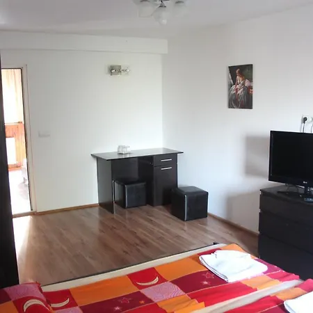 Guest house Nagy Viseu de Sus